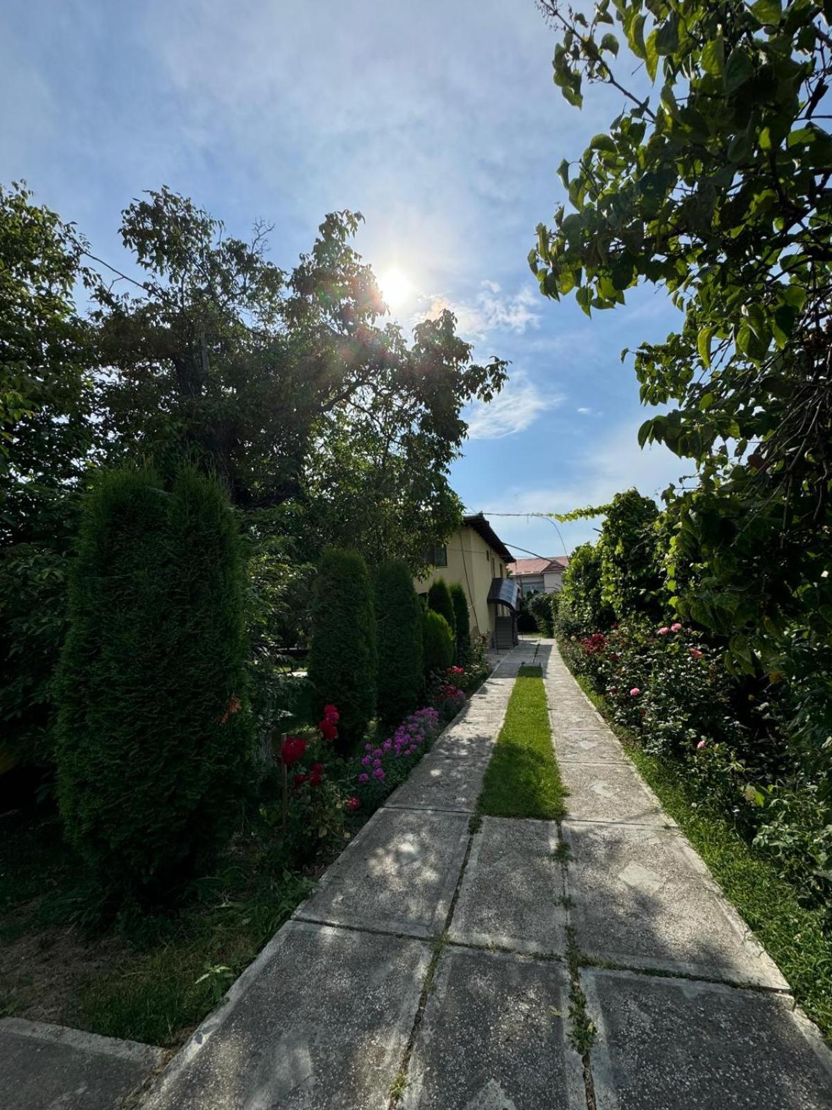 Pensiunea Cassandra Târgu Neamţ Exterior foto
